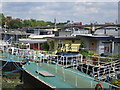 House boats near Battersea Bridge