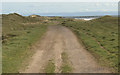 SS7881 : The Wales Coast Path at Kenfig Burrows (2) by eswales