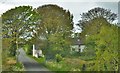 Cottage Near Jordanston Bridge