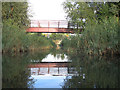 TQ3784 : Footbridge over the Channelsea River  by Stephen Craven