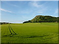 Benarty Hill and farmland at East Lochran