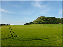 NT1397 : Benarty Hill and farmland at East Lochran by Alan O'Dowd