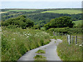 Minor lane to South Hole, Devon