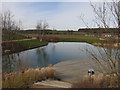 New pond, The Arboretum