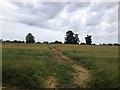 SP5768 : Field view on the way to Ashby St Ledgers by Dave Thompson