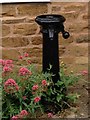 Water Pump in Ashby St Ledgers