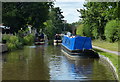 Narrowboats along the Trent & Mersey Canal