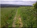 Public footpath at Wood Hill, Wales Bar