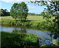 The River Trent near Rugeley