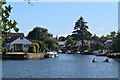 Thames Ditton Island