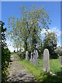 St Andrew, Alwington: churchyard (i)