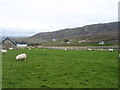 The country at Leirinmore