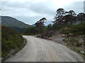 NM9180 : Track through disused quarry at Glenfinnan by Malc McDonald