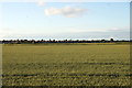 SD3211 : View over fields from Carr Moss Lane Halsall by Mike Pennington