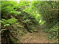 Footpath, Fovant