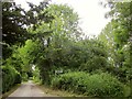 Path from Church Lane, Fovant