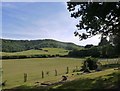 View from Bepton churchyard