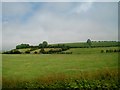 Small drumlin-slope fields east of the A24