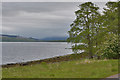 Loch Eil foreshore near Rubha Caladh na Creige