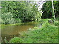 The River Bure downstream of Horstead Mill