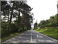 SN5981 : University entrance road at Aberystwyth University by Geographer
