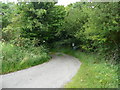 Lane from Long Rigg down to the ford at Rigg Mill