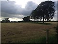 Farmland near Bogend