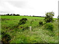 Edymore Townland