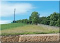 Telecommunications mast above the A24