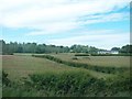 Farm buildings west of the A24