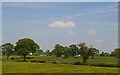 View of Wattlesborough Heath from the railway