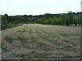 Freshly mown meadow at Millennium Wood, Duckmore Lane, Tring