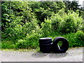 H4946 : Tyres, Mullaghfad Forest by Kenneth  Allen
