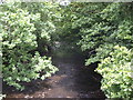 River Sirhowy, Oakdale