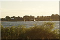 TQ4590 : View of sailing boats on the lake in Fairlop Waters #2 by Robert Lamb