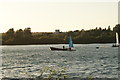 TQ4590 : View of sailing boats on the lake in Fairlop Waters #3 by Robert Lamb