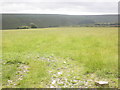 Field, Wintershead Farm