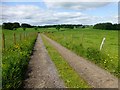 Track To Langside Farm