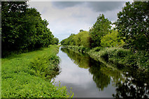 SD5383 : Lancaster Canal South of Crooklands by Chris Heaton
