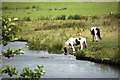 The Leeds and Liverpool Canal is OK for drinking