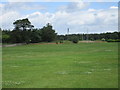 S1090 : Sports field, Roscrea College by Jonathan Thacker