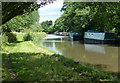 Narrowboats moored along the Trent & Mersey Canal