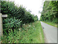 Footpath sign in the hedge at West Raynham