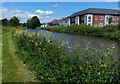 Trent & Mersey Canal at Weston