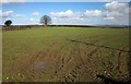 Field near Pempwell