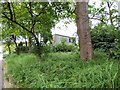 Haughton Green Methodist Graveyard