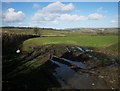 Field near Holwell House