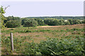 View south-east from Lodge Road car park, Walberswick