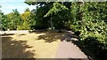 Sunlight and shade in West Ham Park