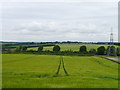 Barley Near Lightfield